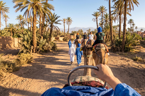 Marrakech: Palmeraie Camel Ride with Mint Tea & Pickup