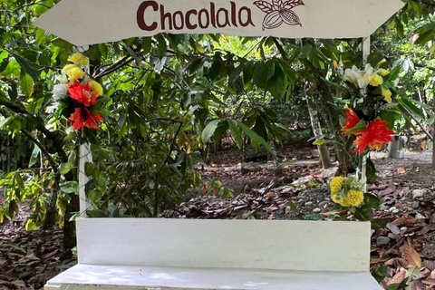 Puerto Plata: City Tour, Plantation, and Chocolate Factory