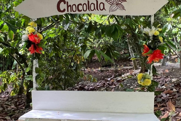 Puerto Plata: City Tour, Plantation, and Chocolate Factory