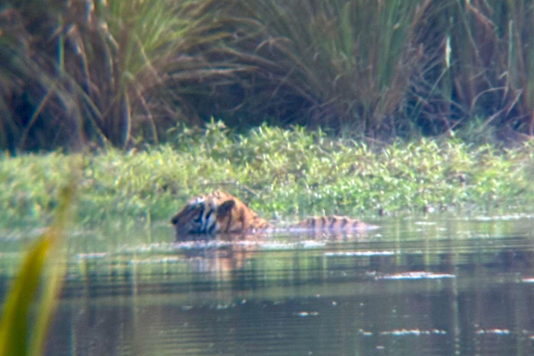 Chitwan: 2 Nights 3 Days Hotel and Ethical Jungle Safari