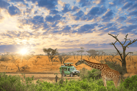 #1. Best Tarangire Day Tour Safari-ISMANI TOURS AND SAFARIS