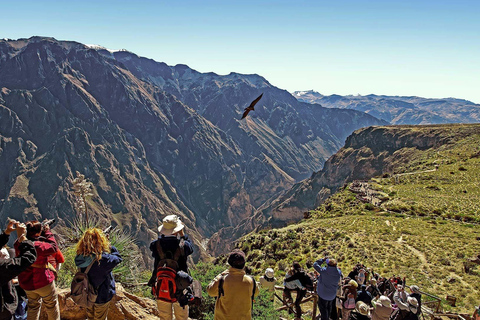 Arequipa: Ausflug nach Chivay und in den Colca Canyon