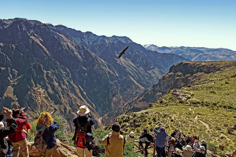 Arequipa: Ausflug nach Chivay und in den Colca Canyon