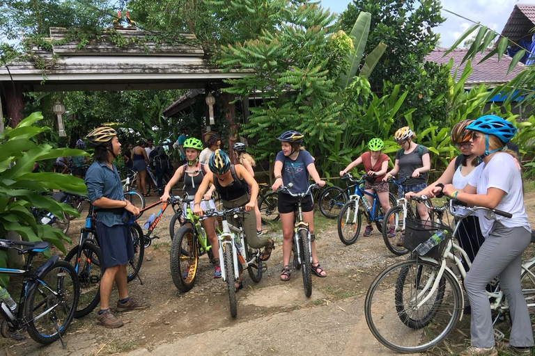 Chiang Mai: Sticky Waterfalls, Blue Pink Temple, and Cycling Chiang Mai: Sticky Waterfalls, Blue Pink Temple, and Market