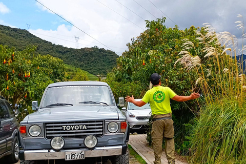Ecuador: Vintage Toyota Land Cruiser 4x4. Rental with Driver