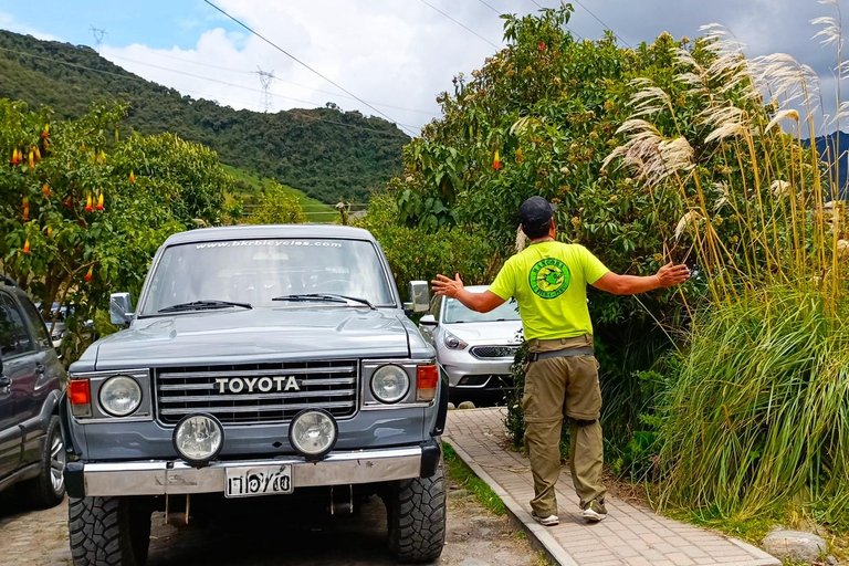 Ecuador: Vintage Toyota Land Cruiser 4x4. Rental with Driver
