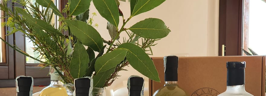 Cannara : dégustation de liqueurs à base de plantes et accords mets-vins