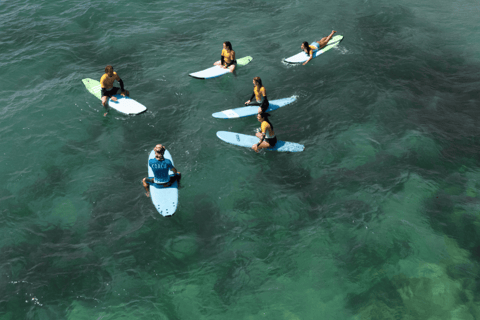 Sydney: Dee Why Beach Group Surfing Lesson