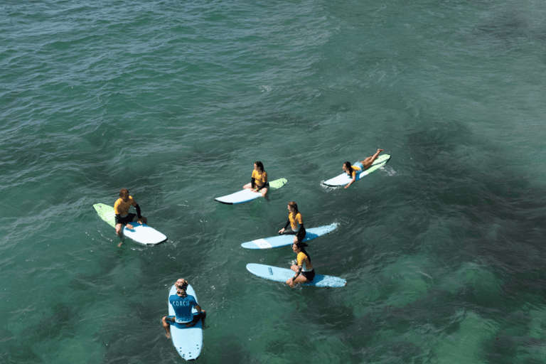 Sydney: Dee Why Beach Group Surfing Lesson