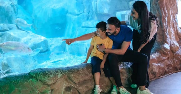Barcelona: Hop-On/Hop-Off Bus & Aquarium-Tour