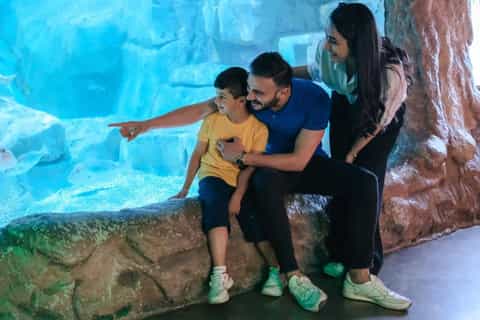 Hop-On Hop-Off Bus & Aquarium Tour