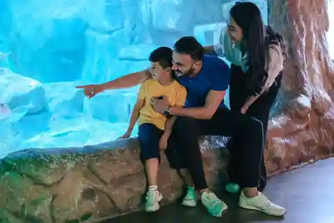 バルセロナ：乗り降り自由バス＆水族館ツアー