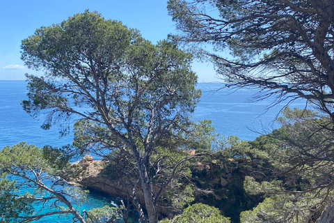 Lloret de Mar: Guided Sightseeing Tour in a 4x4 Vehicle