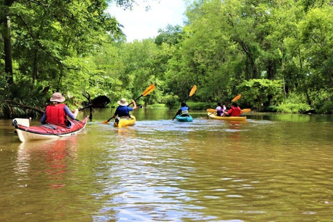 San Jacinto River | Stream Geomorphology Field Trip