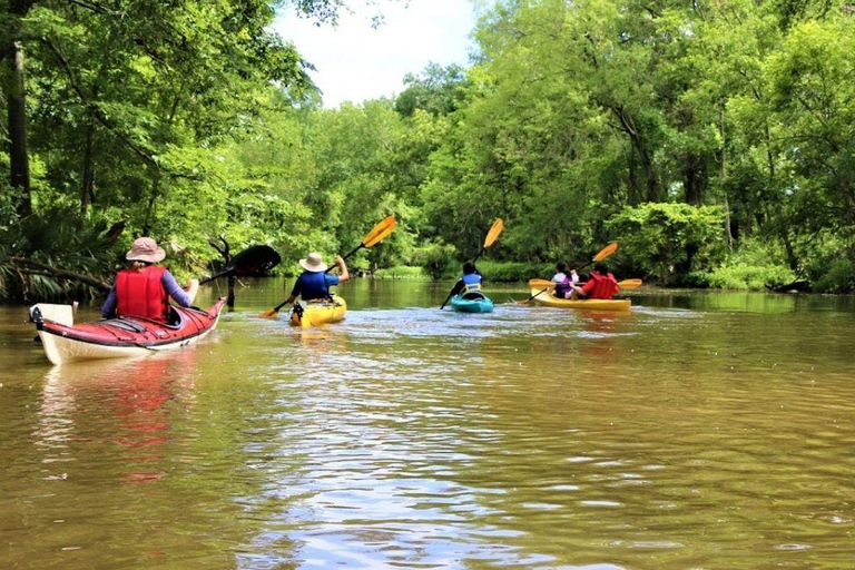 San Jacinto River | Stream Geomorphology Field Trip