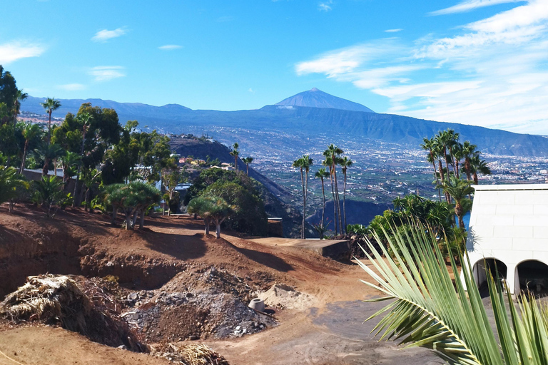 Tour guidato a piedi a La Orotava, Tenerife