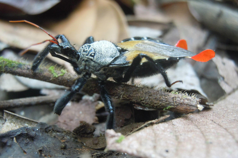 La Gamba: Nationalpark Piedras Blancas