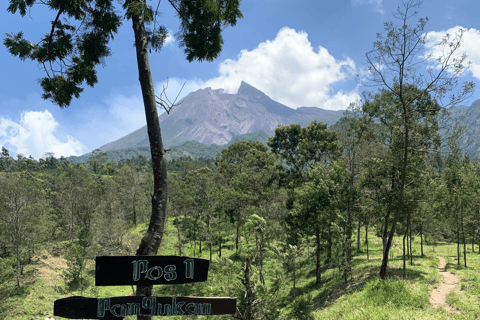 Yogyakarta: Merapi Vulkan Trekking Abenteuer im Ökotourismus