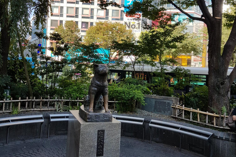 Tokyo: First/Last Day Tour for Haneda & Cruise Guests Haneda Airport → Tokyo