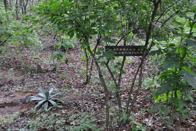 Senderismo en el parque Nacional Benito Juárez