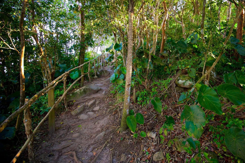Saint Lucia: Private Tet Paul Nature Trail & Waterfall Tour