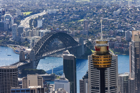 Sydney Tower Eye: Wejście z tarasem widokowymSydney Tower Eye - dni powszednie