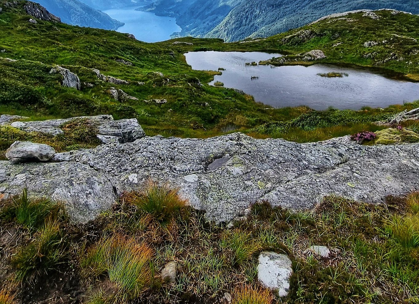 Bergen: Fjordvandring - offentlig tur
