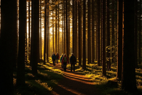 Stockholm: Lake Forest Sauna and Swim Experience