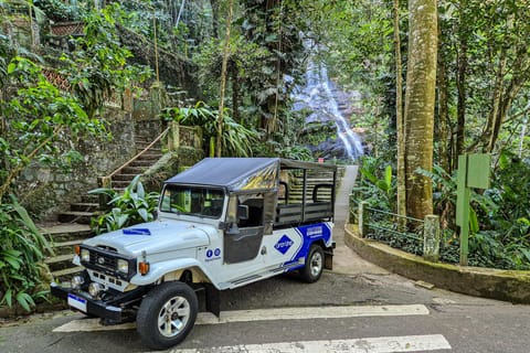 Rio de Janeiro: Guided Jeep Tour through Tijuca Rainforest
