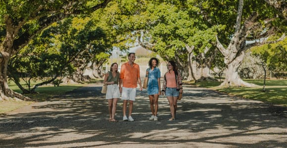 Mauritius: Château Labourdonnais, Sugar Museum & Lunch