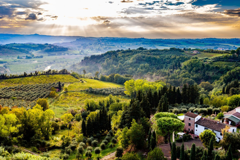 Peccioli: Wine tasting experience