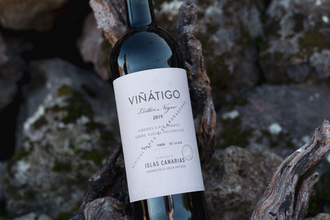 Tenerife: Guided tour with tasting of 6 wines