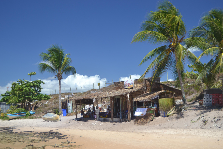 Salvador North Shore: Beach Hopping Tour to Praia do Forte