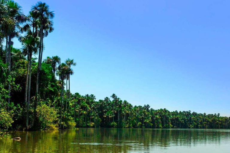 Puerto Maldonado: 4 dias de aventura na selva amazónica