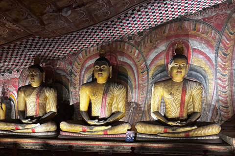 Sigiriya, Dambulla, 2 day tour with Minneriya safari