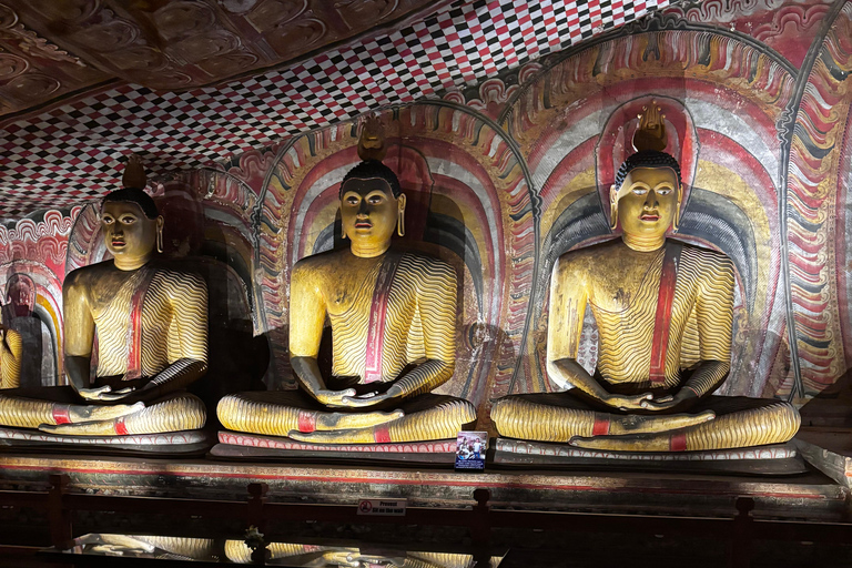 Sigiriya, Dambulla, 2 day tour with Minneriya safari