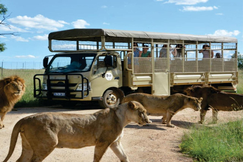 Cradle of Humankind & Rhino and Lion Nature Reserve Safari