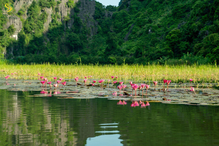 Hanoi: Trang An UNESCO, Mua Cave, Hoa Lu or Dich Long Pagoda GROUP: Hoa Lu, Trang An UNESCO BOAT, Mua Cave, Buffet, Cycle