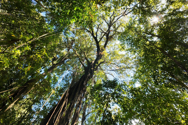 Munduk: Twin Lakes Jungle Hike with Lake Canoe and WaterfallFrom Munduk area : Private Tour