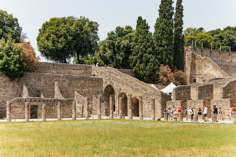 Z Rzymu: Pompeje, Wybrzeże Amalfi i Positano - jednodniowa wycieczkaWycieczka półprywatna z degustacją likieru limoncello