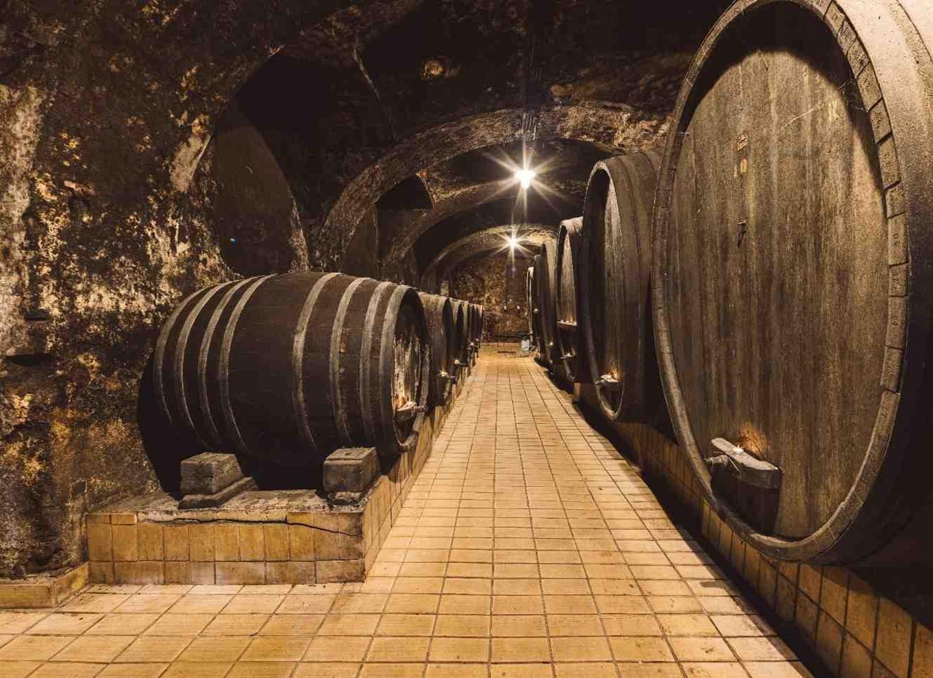Maribor: Vinag Wine Cellar Tour med vinsmagning og snacks
