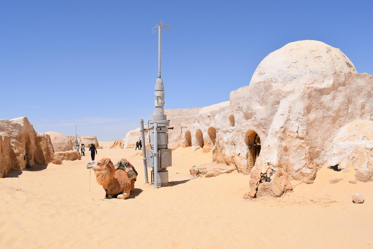 Sunset & Star Wars tour at the Ksar Ghilane oasis in a 4x4 Sunset & Star Wars tour to the oasis of Ksar Ghilane in a 4x4