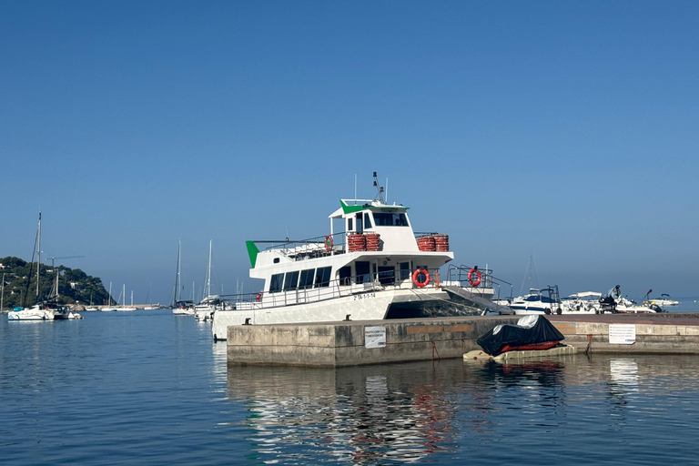 Mallorca:2.5h Boat trip Sea Adventure—Cruise, Swim & Explore Mallorca: 2.5-Hour Sea Adventure — Cruise, Swim & Explore!
