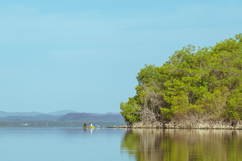Puerto Escondido : kayak dans la lagune ManialtepecPuerto Escondido : Kayak sur le lac Manialtepec