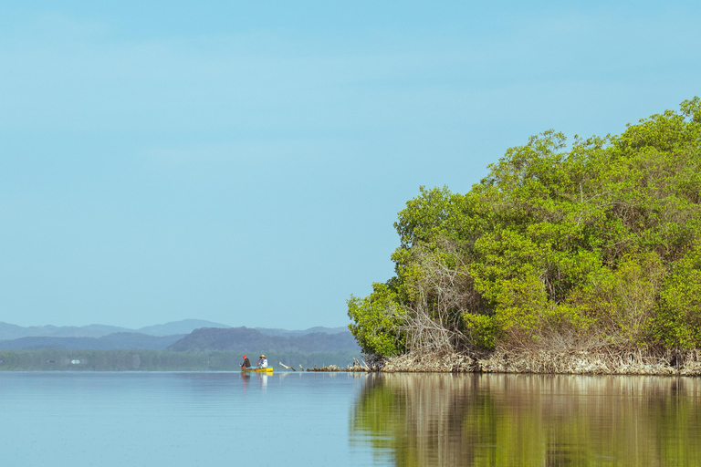Puerto Escondido : kayak dans la lagune ManialtepecPuerto Escondido : Kayak sur le lac Manialtepec