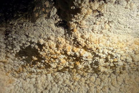 Krakow: Private City Tour & Wieliczka Salt Mine Visit Krakow: City Tour & Wieliczka Salt Mine Visit(Group)