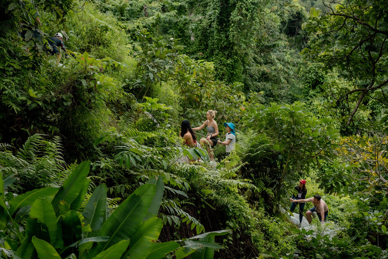Chiang Mai: The Original Sticky Waterfalls & Thai Cooking