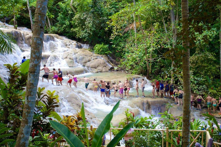 Montego Bay : Chutes de la rivière Dunn et aventure équestreChutes de la rivière Dunn et aventure équestre