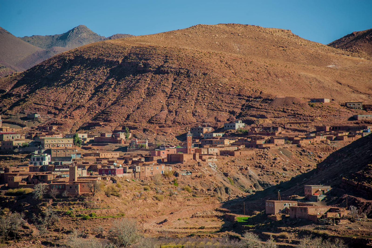 Atlas Mountains & Ourika Valley Day Tour with Lunch Marrakech: Ourika Valley and Atlas Mountains Day Trip