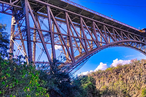 Guided Hike under the Bridge into the Zambezi Gorge Victoria Falls: Gorge Hike under the Bridge